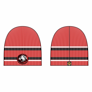 Special Ribbed Beanie 01