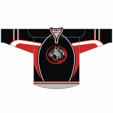 Hockey Classic Pro 01