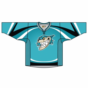Hockey Elite 01 