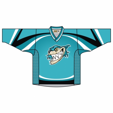 Hockey Elite 01 
