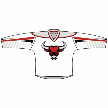 Hockey Fast Eco 01 