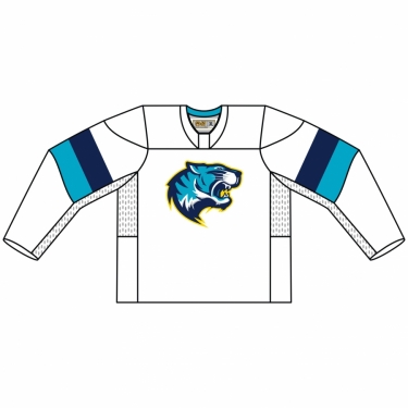 Hockey Sochi 01 