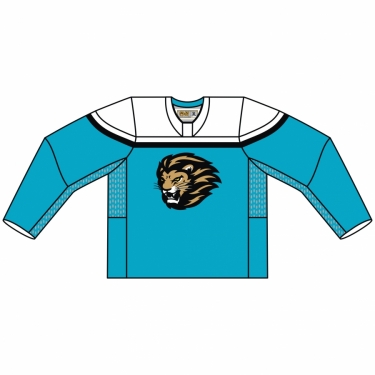 Hockey Sochi 02