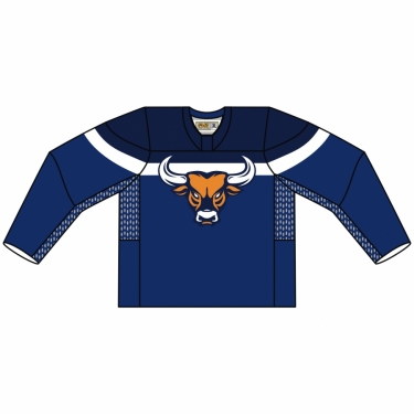 Hockey Sochi 03