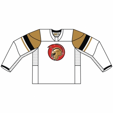 Hockey Sochi 04